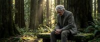 Senior man in suit sitting contemplatively on fallen log in sunlit forest. Mature businessman reflecting in peaceful woodland setting with tall trees.