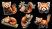 Cute red panda sticker set with six poses, isolated on transparent background. Great for t-shirt design, print on demand, clipart, and sublimation projects.