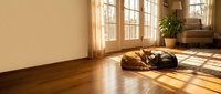 Peaceful dog sleeping on warm hardwood floor in sunlit living room with large windows and natural light streaming across wooden planks creating cozy home atmosphere.
