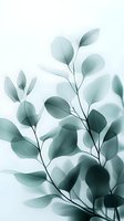 Delicate eucalyptus leaves in soft teal tones against white background create serene botanical composition, suitable for wellness and spa design projects.