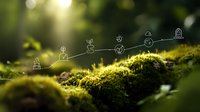 Mossy forest floor with glowing sunlight and minimalist line icons representing nature's journey, perfect for environmental conservation campaigns.