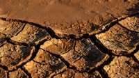 Cracked dry earth surface with deep fissures showing drought conditions and arid landscape texture for environmental and climate change concepts.
