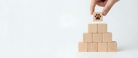 Hand placing wooden block with paw print on pyramid stack representing pet care business growth and animal service development concept.