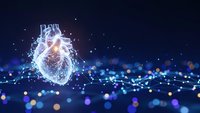 Digital human heart with glowing neural network connections on dark blue background with bokeh lights for medical technology and healthcare concepts.