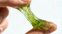 Hand stretching green slime with brown particles, isolated on white background. Sticky, gooey texture perfect for educational content, product photography, or design projects.