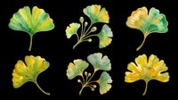 Watercolor ginkgo leaves set in green and yellow tones, isolated on transparent background. Ready for stickers, t-shirt design, clipart, sublimation, and print on demand.