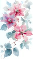 Delicate pink clematis flowers with teal leaves in soft watercolor style, featuring translucent petals and gentle color gradients on white background.