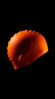 Red chili pepper isolated on transparent background, ready for t-shirt design, clipart, stickers, print-on-demand products and sublimation projects.