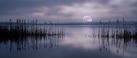 Tranquil lake at twilight with full moon rising over calm water, reeds silhouetted against purple sky, peaceful evening landscape for meditation and relaxation.