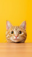 Curious ginger cat with big yellow eyes peeping over wooden surface against bright yellow background. Funny pet portrait with copy space for text.