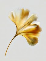 Golden ginkgo biloba leaf with delicate veined texture and fan-shaped form against neutral background, showcasing natural botanical elegance and autumn colors.