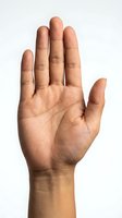 Open palm hand gesture showing stop sign on white background isolated for communication and body language concepts.