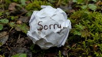 Crumpled paper ball with handwritten word Sorry lying on mossy ground outdoors, symbolizing regret, apology, and emotional conflict.