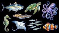 Colorful marine life collection featuring fish, sea turtle, octopus, seahorse, manta ray and more. Isolated on transparent background, ready for t-shirts, clipart, stickers, sublimation and print-on-demand designs.