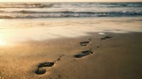 Footprints in wet sand leading along ocean shoreline at golden hour sunset with gentle waves and warm light creating peaceful coastal atmosphere.