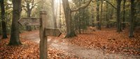 Wooden directional signpost on forest path covered with fallen autumn leaves, ideal for travel and nature themes.