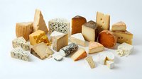 Assorted cheese varieties including cheddar, blue cheese, and aged blocks arranged on white background for food photography and culinary design projects.