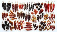 Assorted dried chili peppers in red, brown, and black varieties arranged flat lay on white background, showcasing different heat levels and types for culinary use.