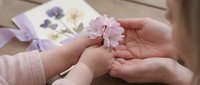 Gentle hands holding delicate pink flower with pressed flower art and greeting cards in soft natural light creating peaceful botanical moment.