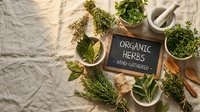 Fresh organic herbs collection with mortar and pestle on rustic linen background for natural cooking and herbal medicine preparation.