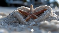Brown starfish resting on white sand with soft bokeh light effects in background, close up macro photography showing detailed texture of marine life.