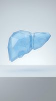 Blue polygonal liver organ floating on white background isolated for medical education and healthcare design projects.