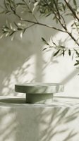 Minimalist green podium with natural plant shadows on textured wall, modern product display platform for cosmetics branding and organic marketing campaigns.