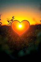 Heart-shaped frame silhouetted against vibrant orange sunset sky with sun centered inside, surrounded by delicate plant silhouettes creating romantic nature scene.