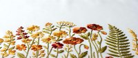 Pressed dried flowers and ferns arranged on white background creating botanical herbarium collection for crafts and natural decoration projects.