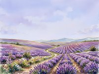 Lavender field landscape with rolling hills, purple flowering plants in rows, winding path through countryside, watercolor painting style, rural agricultural scenery for wall art and home decor.