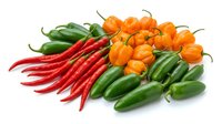 Hot chili peppers in red, orange and green varieties isolated on white background. Fresh produce for cooking, culinary use and food styling.