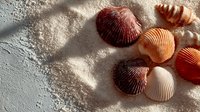 Colorful seashells scattered on sandy beach with dramatic shadows creating natural coastal pattern for summer vacation and marine life concepts.