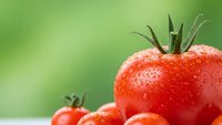 Fresh ripe red tomatoes with water droplets on green blurred background for healthy cooking and organic farming concepts.