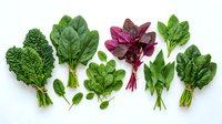 Assorted fresh leafy greens and purple spinach bunches arranged on white background, suitable for healthy eating, nutrition, and culinary design projects.
