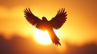 Silhouette of flying bird with spread wings against dramatic orange sunset sky and bright sun, creating powerful spiritual freedom symbolism.