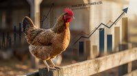 Chicken standing on wooden fence with upward trending arrow graph and poultry farm background, symbolizing agricultural business growth and success.
