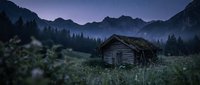 Abandoned wooden cabin surrounded by wildflowers and evergreen forest under starlit mountain sky at dusk, suitable for nature and landscape design projects.