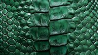 Green crocodile skin texture with scales and bumps creating a luxurious reptilian pattern for fashion, accessories, or exotic leather goods background.
