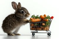 Cute fluffy bunny pushing a miniature shopping cart full of fresh carrots, isolated on white background, ready for design use.