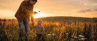 Father and toddler son playing in wildflower meadow during golden hour sunset. Family bonding time in nature with warm sunlight and colorful blooms.