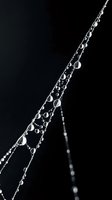 Silver chain jewelry with delicate links and beads on dark background for luxury fashion accessories and elegant style concepts.