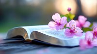 Open book with delicate pink cherry blossoms on pages against soft blurred background, creating peaceful spring atmosphere for spiritual and educational concepts.