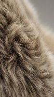 Extreme close-up of soft animal fur with natural swirl pattern, showing detailed texture in warm beige and brown tones on neutral background.
