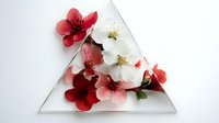 Delicate pink and red cherry blossoms arranged in triangular glass container on white background, creating modern floral composition.