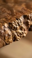 Natural burl wood grain texture with intricate patterns and knots showcasing organic wooden surface for carpentry and woodworking projects.