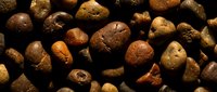 Pile of roasted coffee beans with rich brown tones and textured surfaces on dark background, suitable for beverage, food, and culinary design projects.