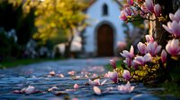 Pink magnolia blossoms frame entrance to small chapel with fallen petals scattered on stone path, creating romantic spring atmosphere at sunset.