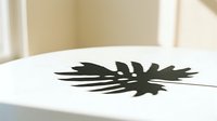 Tropical palm leaf shadow cast on white surface, creating natural botanical silhouette for design and decor projects.
