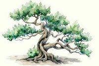 Watercolor bonsai tree with twisted trunk and green foliage on white background. Traditional Japanese art style for meditation, zen garden design and botanical illustration.