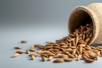 Organic cumin seeds spilling from clay pot on gray background, macro food photography with selective focus and copy space for culinary designs.